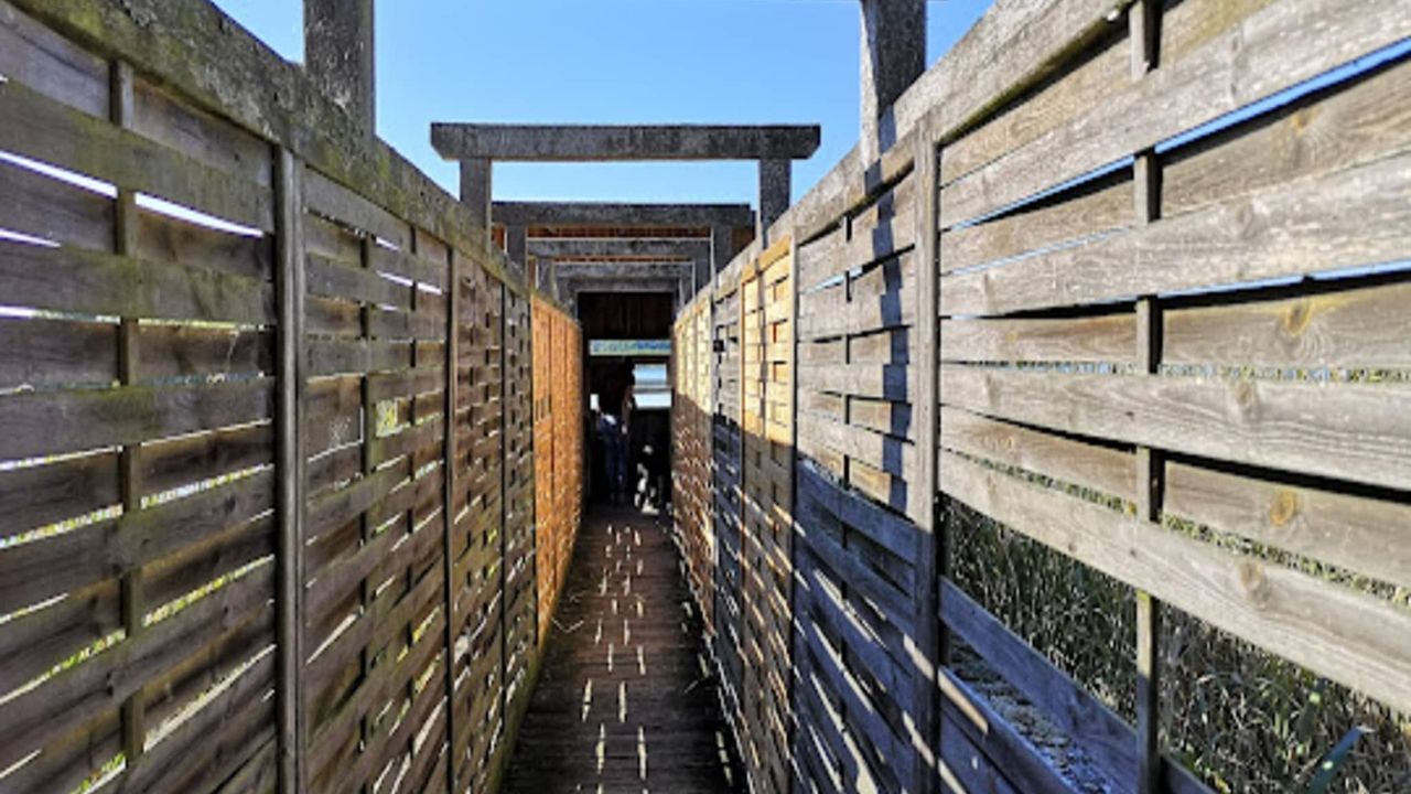 AreaSummer20KM AreaSummer20KM